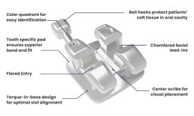 m05200 fli twin two piece stainless steel brackets ricketts bioprogressive rx diagram